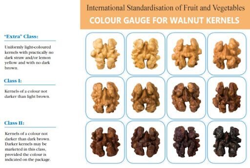 orehi_cvetovaya_gamma_razmestit_pod_opisaniem_tovara